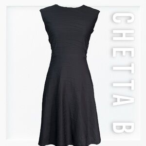Chetta B Black Raised Ripple Fit and Flare Dress sz 6